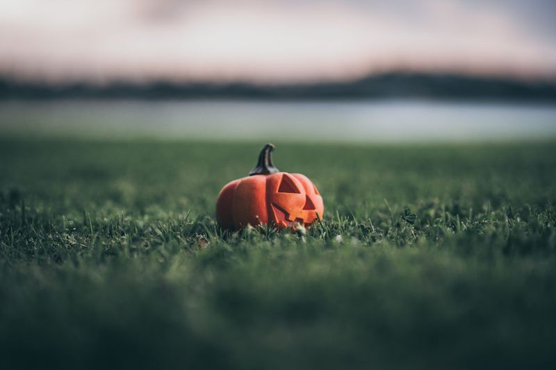 Photo by Shadrach Warid on Unsplash - Pumpkin on grass